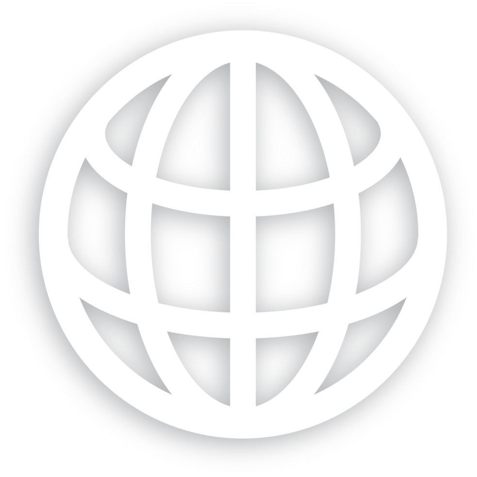 Globe icon